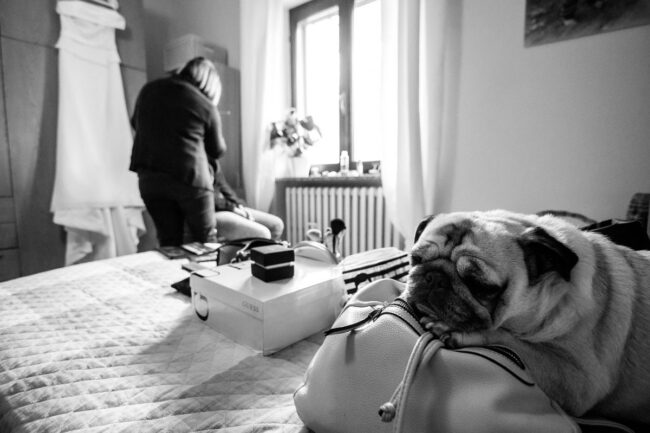 fotografo-matrimonio-migliore-torino-lebraghecorte-donata-ponchia072